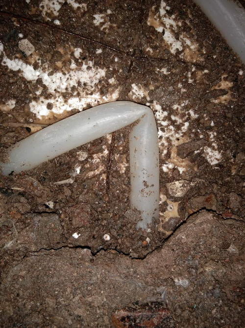 安吉堵点精准查找